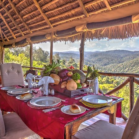 Ngorongoro Forest Tented Lodge Karatu Exteriér fotografie